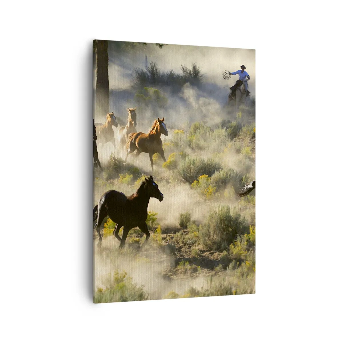 Schilderen op canvas - Rivaliteit - vrijheid of mannelijke kracht? - 70x100 cm