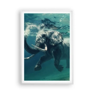 Poster in een witte lijst - Iedereen houdt van zwemmen - 70x100 cm