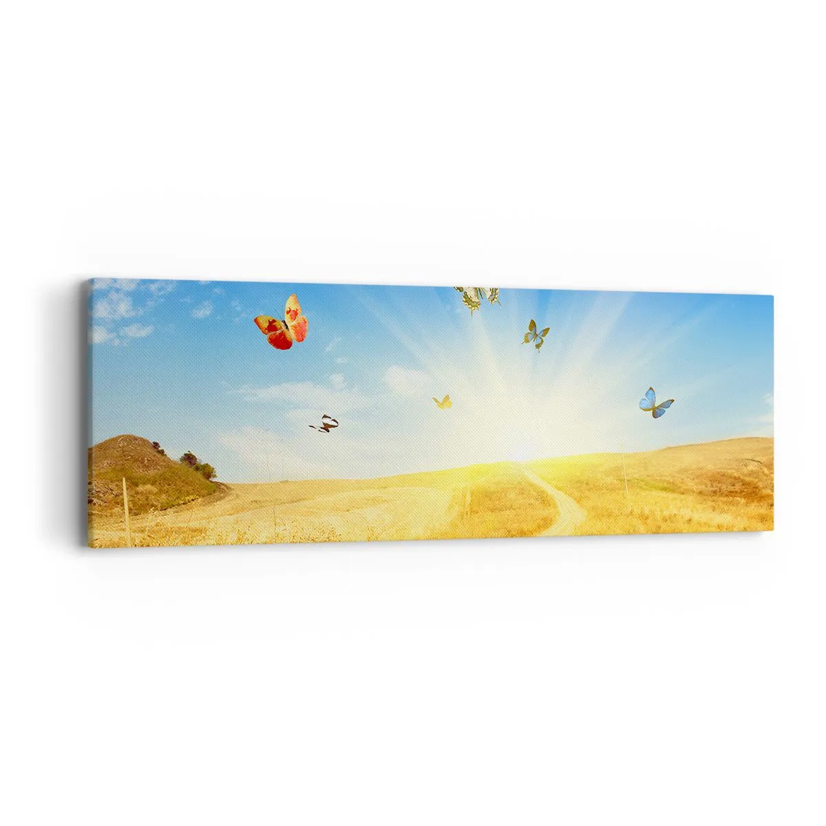 Schilderen op canvas - En hoe kun je niet van de zomer houden? - 90x30 cm