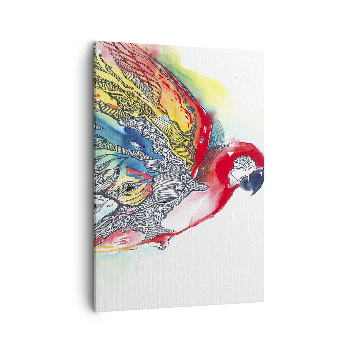 Schilderen op canvas - Leef kleurrijk - 50x70 cm