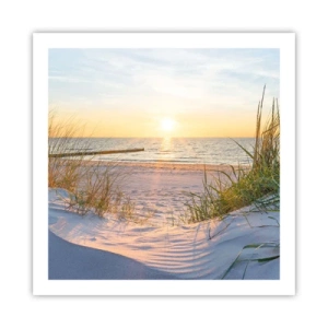 Poster - Het geluid van de zee, het zingen van vogels, een wild strand tussen het gras... - 60x60 cm