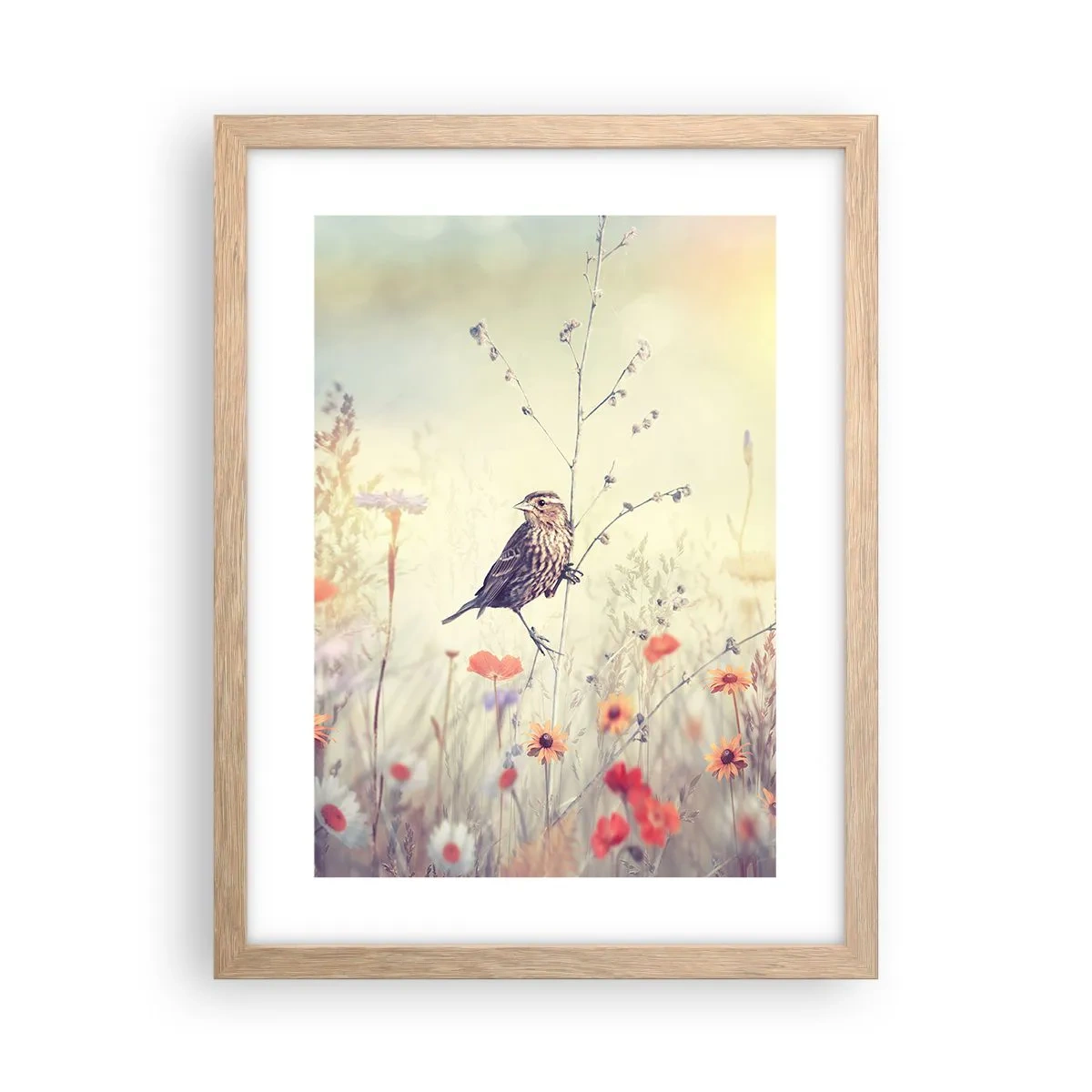 Een poster in een licht eiken lijst - Vogelportret met een weiland op de achtergrond - 30x40 cm