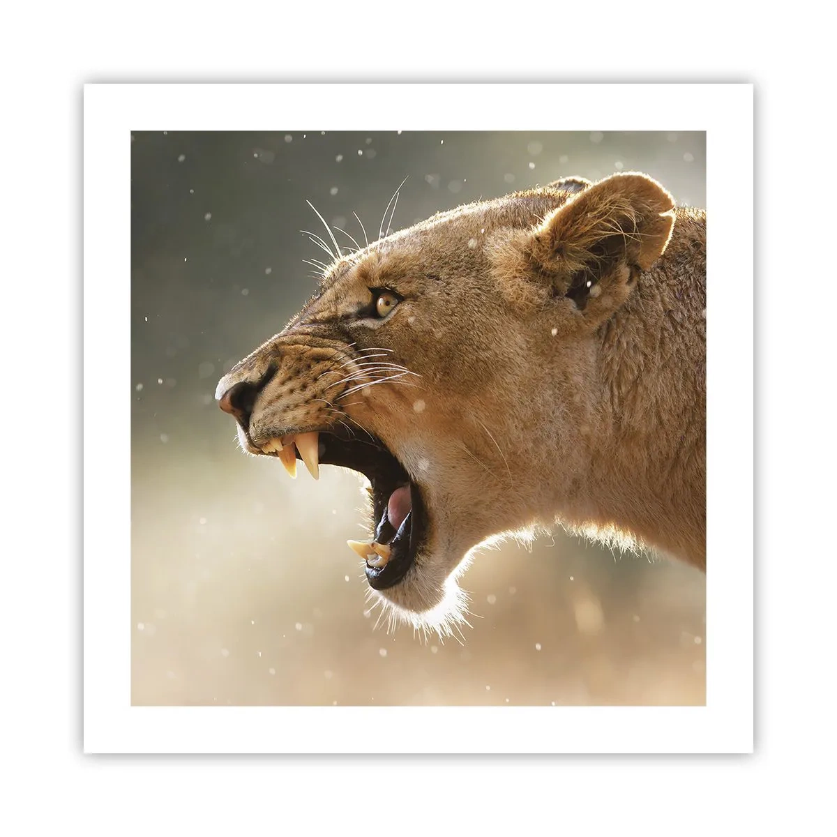 Poster - Probeer niet te luisteren - 50x50 cm