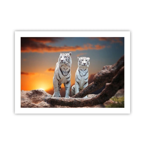 Poster - Net als in Narnia - 70x50 cm