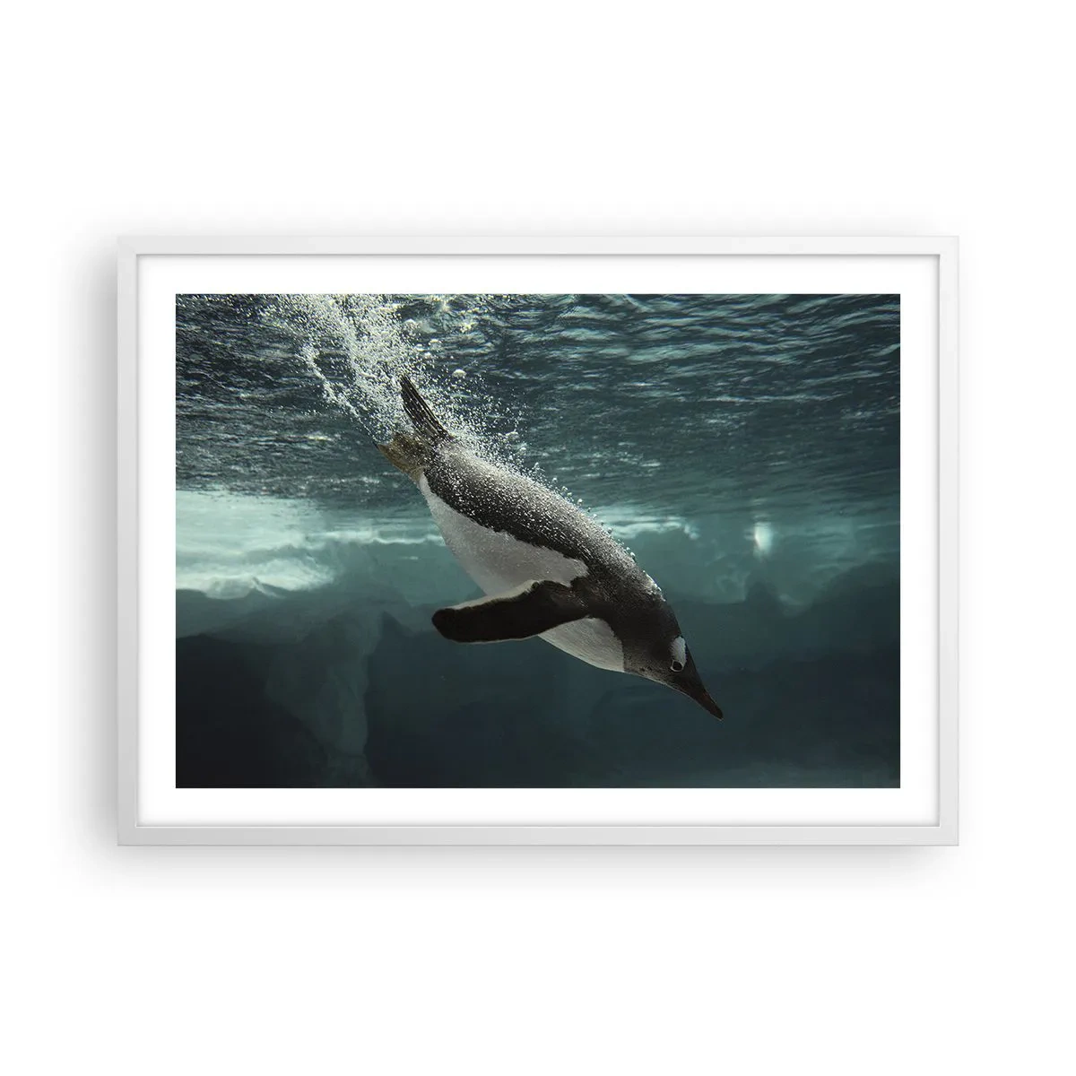 Poster in een witte lijst - Welkom in mijn wereld - 70x50 cm