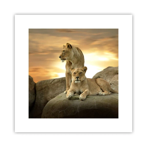 Poster - Koninklijke majesteit - 30x30 cm