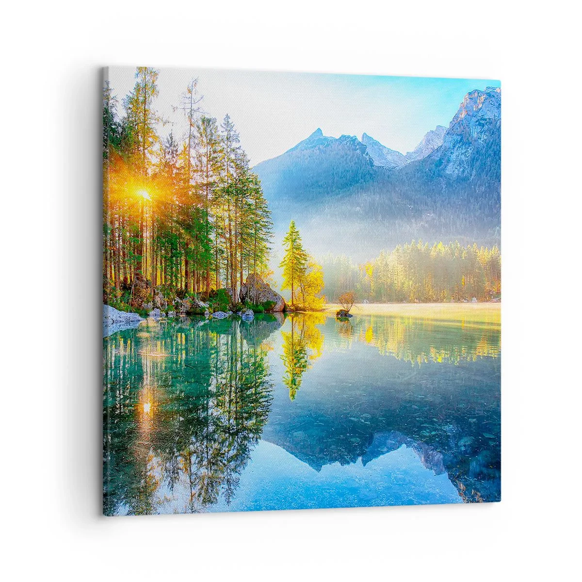 Schilderen op canvas - Majesteit en zoetheid - 50x50 cm