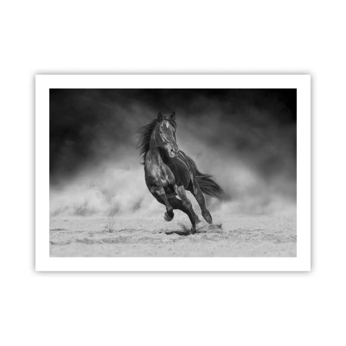 Poster - De emir zelf waardig - 70x50 cm