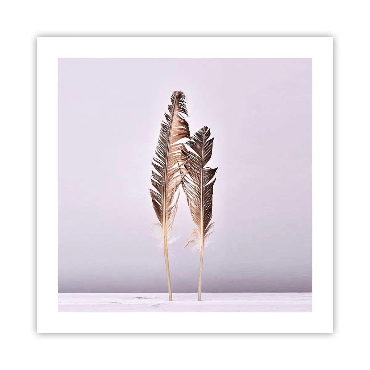 Poster - Tegen het niets - 50x50 cm