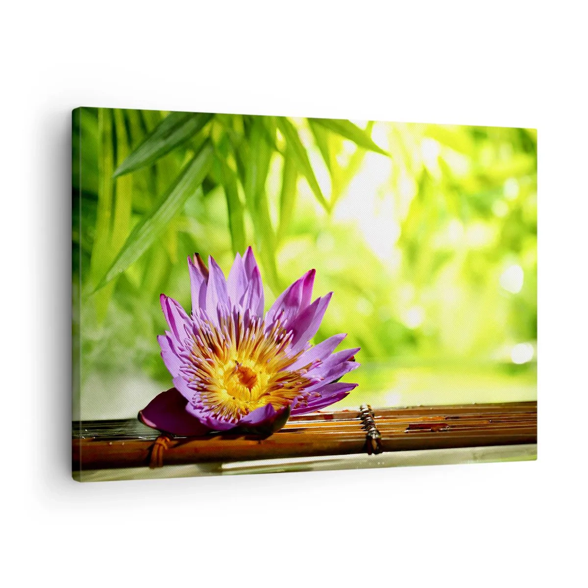 Schilderen op canvas - Paarse lotusbloem tegen een achtergrond van groene bamboebladeren - 70x50cm - In de Aziatische zon - Moderne wanddecoratie voor woonkamer en slaapkamer ARTTOR