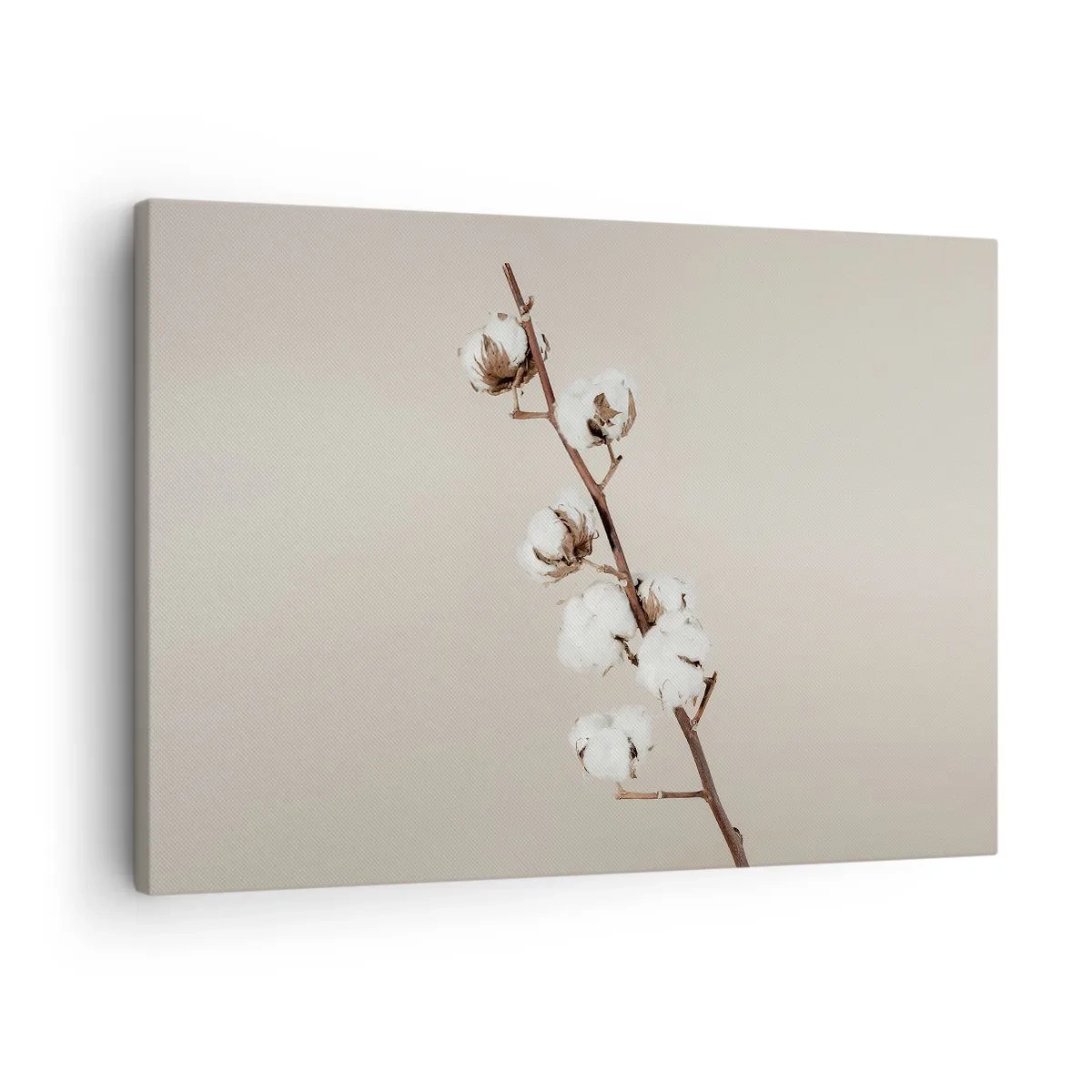Schilderen op canvas - Een takje katoen op een beige achtergrond - 70x50cm - Aan de bron van zachtheid - Moderne wanddecoratie voor woonkamer en slaapkamer ARTTOR