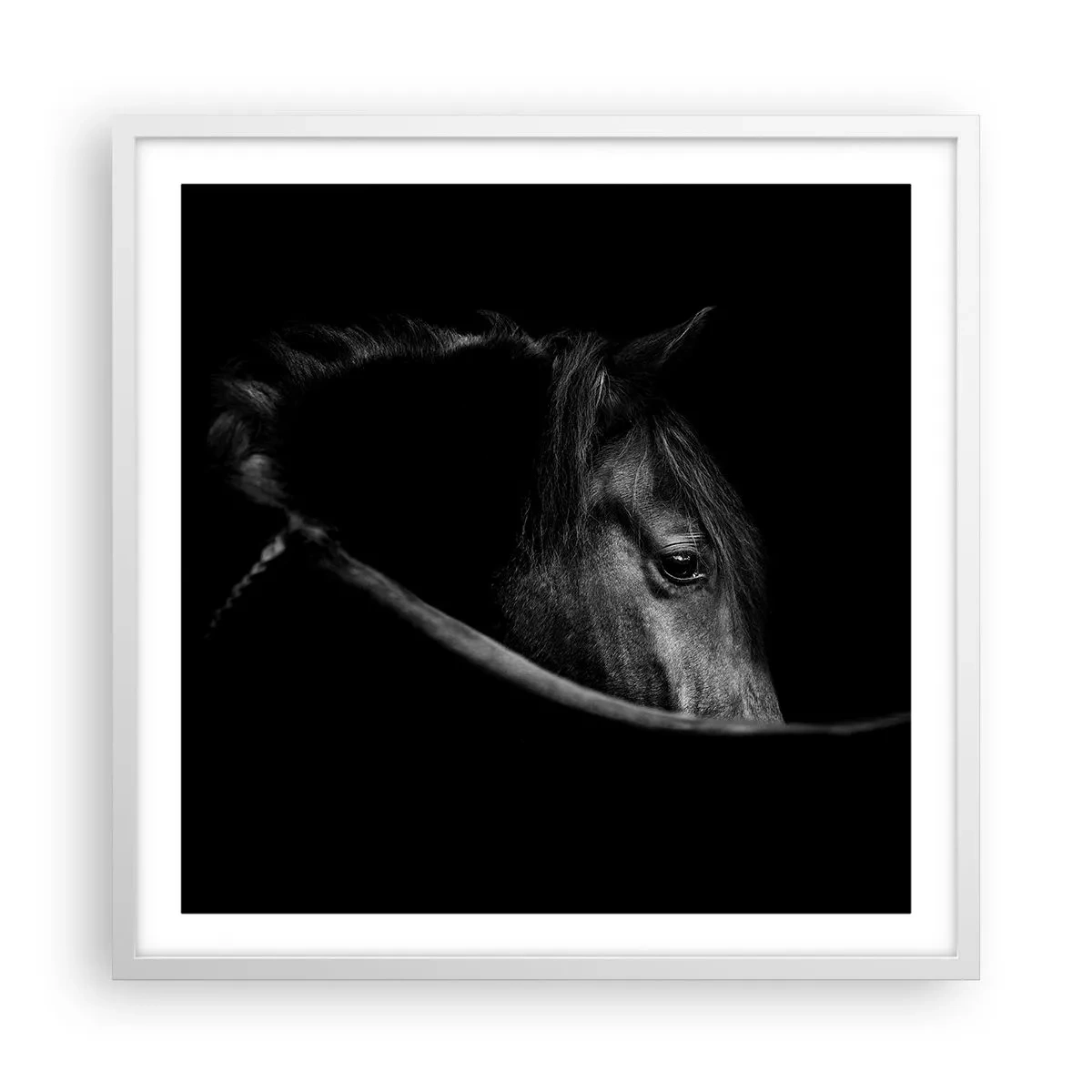 Poster in een witte lijst - Zwarte Prins - 60x60 cm