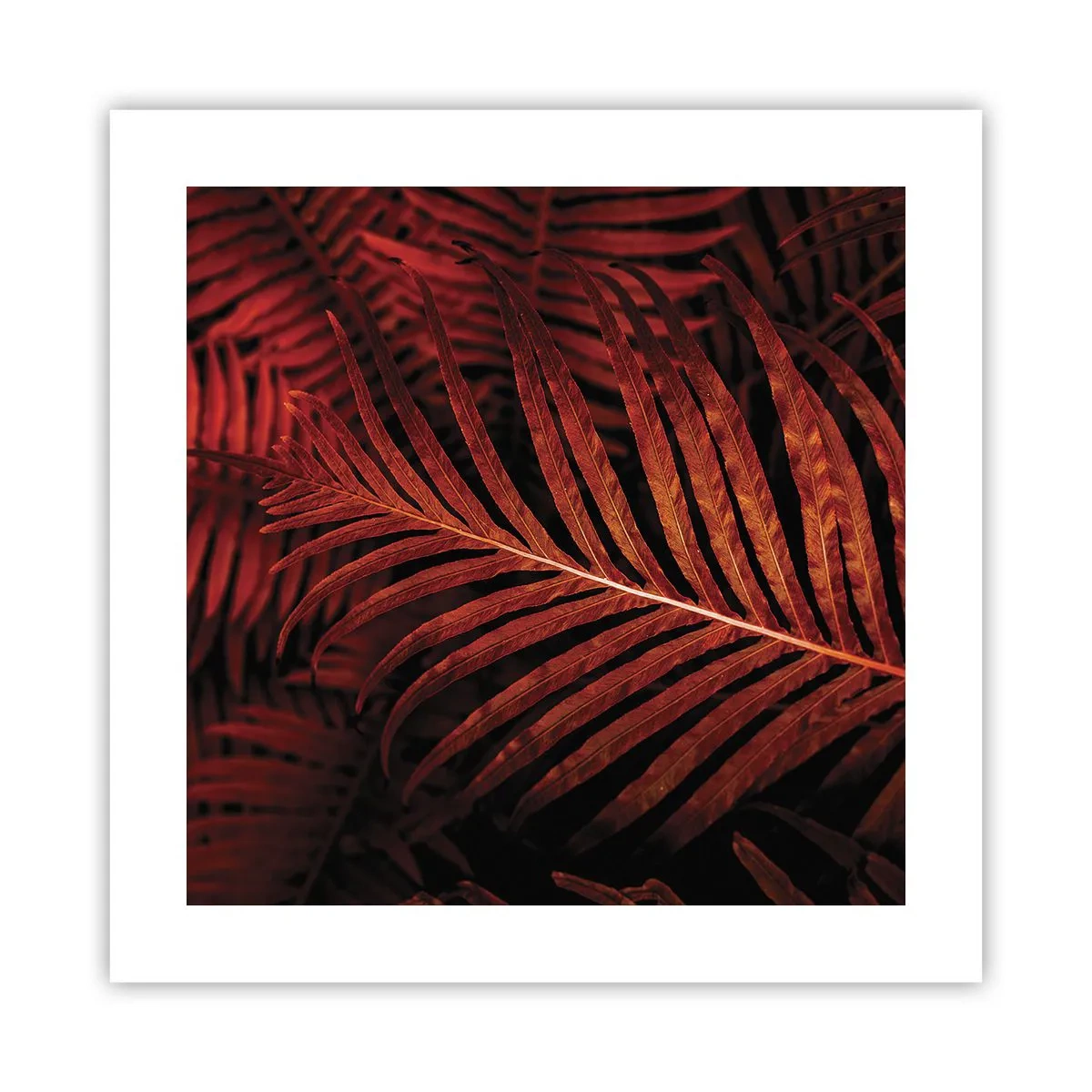 Poster - De hitte van het leven - 40x40 cm