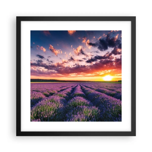 Poster in een zwarte lijst - Lavendel wereld - 40x40 cm