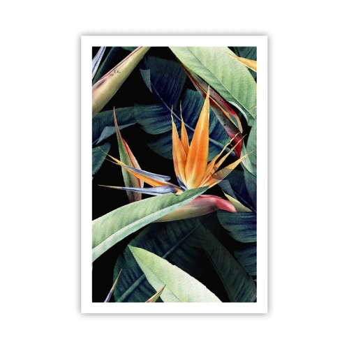 Poster - Vlammende bloemen van de tropen - 61x91 cm