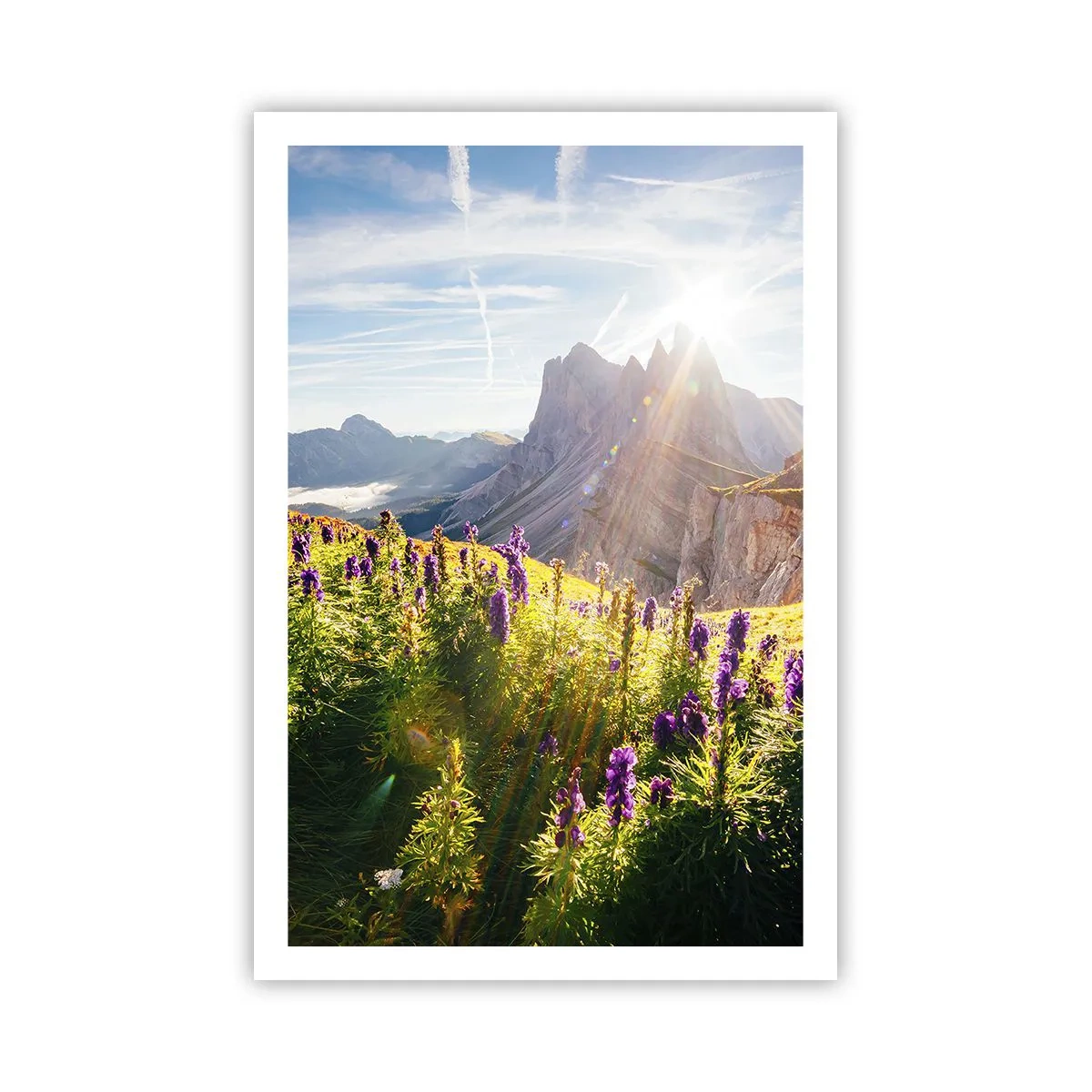 Poster - Het geheime leven van kruiden - 61x91 cm