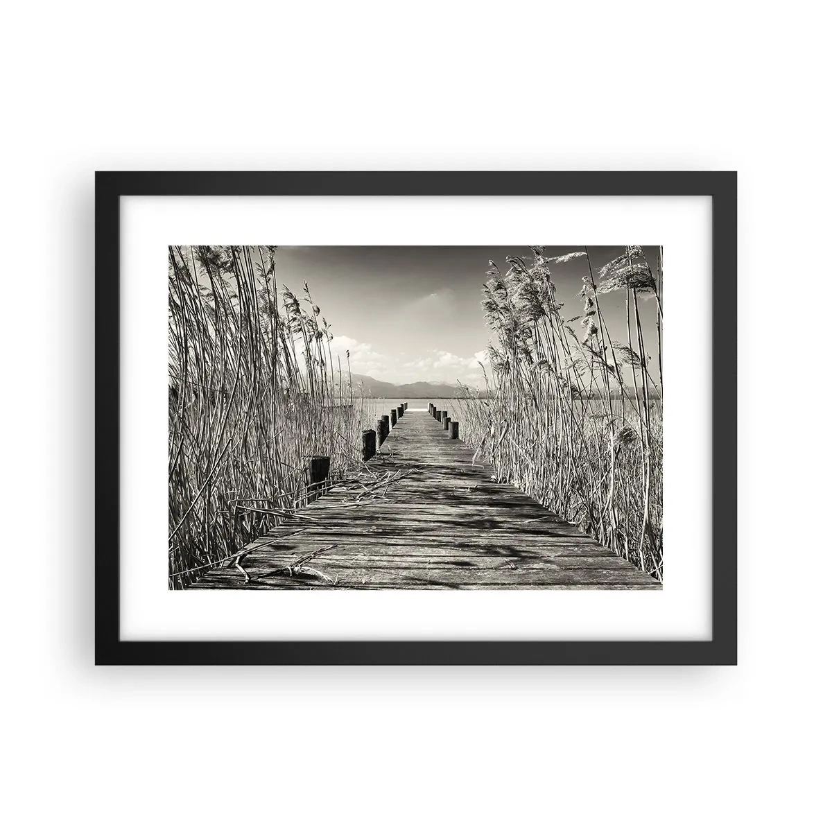 Poster in een zwarte lijst - In de stilte van het gras - 40x30 cm