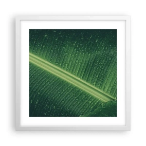 Poster in een witte lijst - De structuur van groen - 40x40 cm