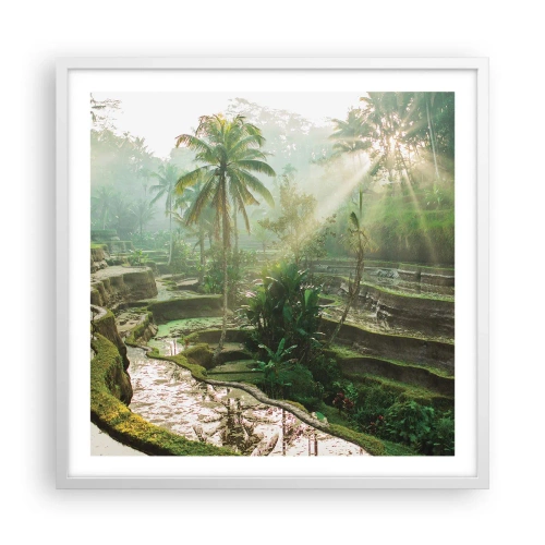 Poster in een witte lijst - Opgroeien in de zon - 60x60 cm