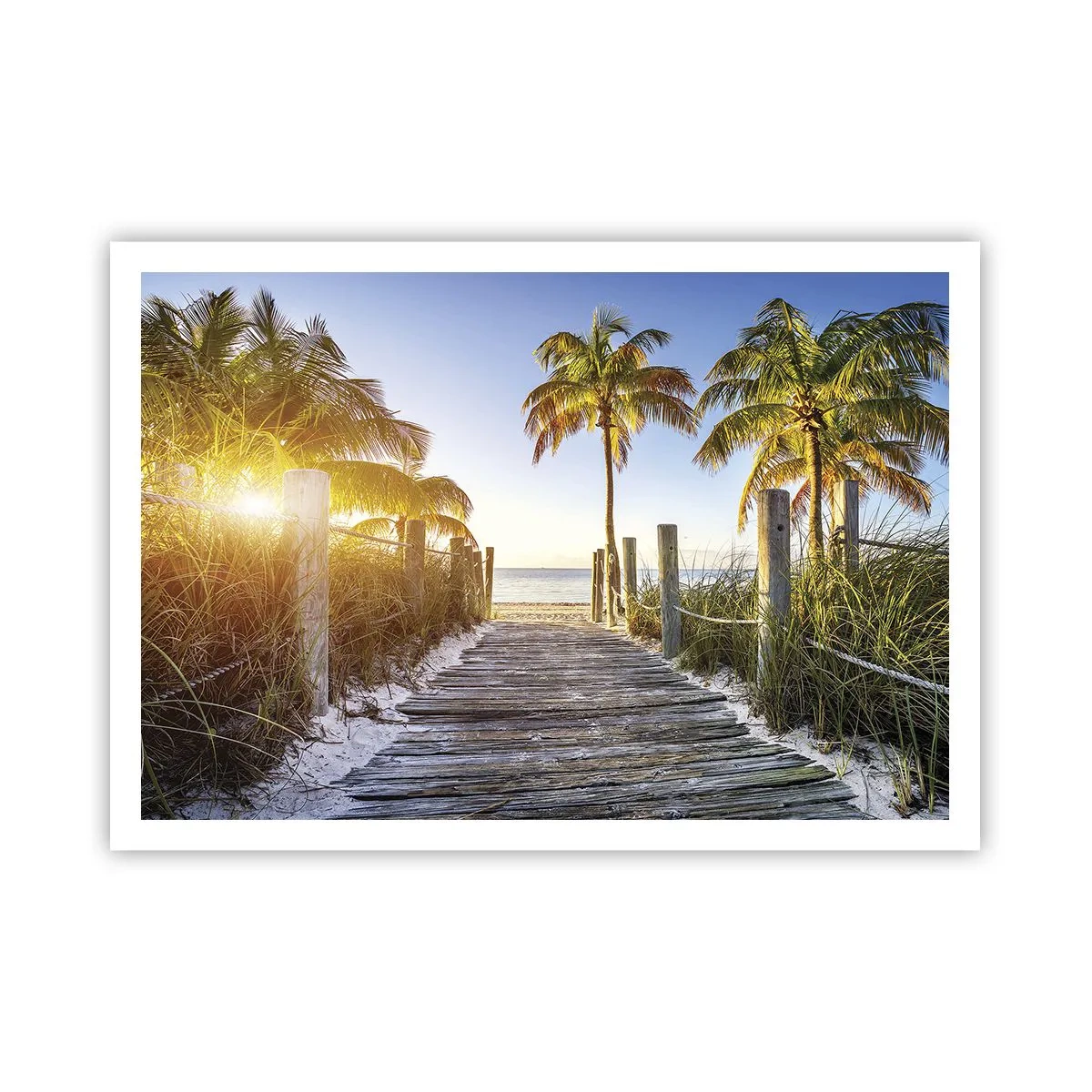 Poster - Rechtstreeks naar het paradijs - 100x70 cm