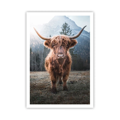 Poster - Groeten uit de bergweide - 70x100 cm