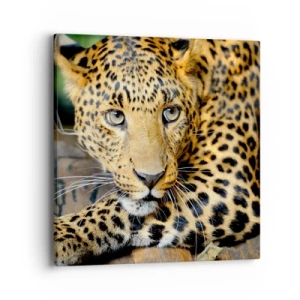 Schilderen op canvas - Wees niet bang, kom maar hier - 40x40 cm