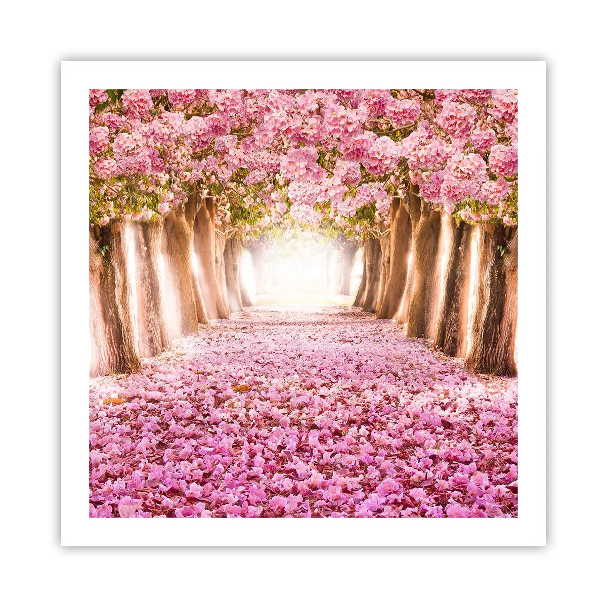 Poster - De weg naar het paradijs - 60x60 cm