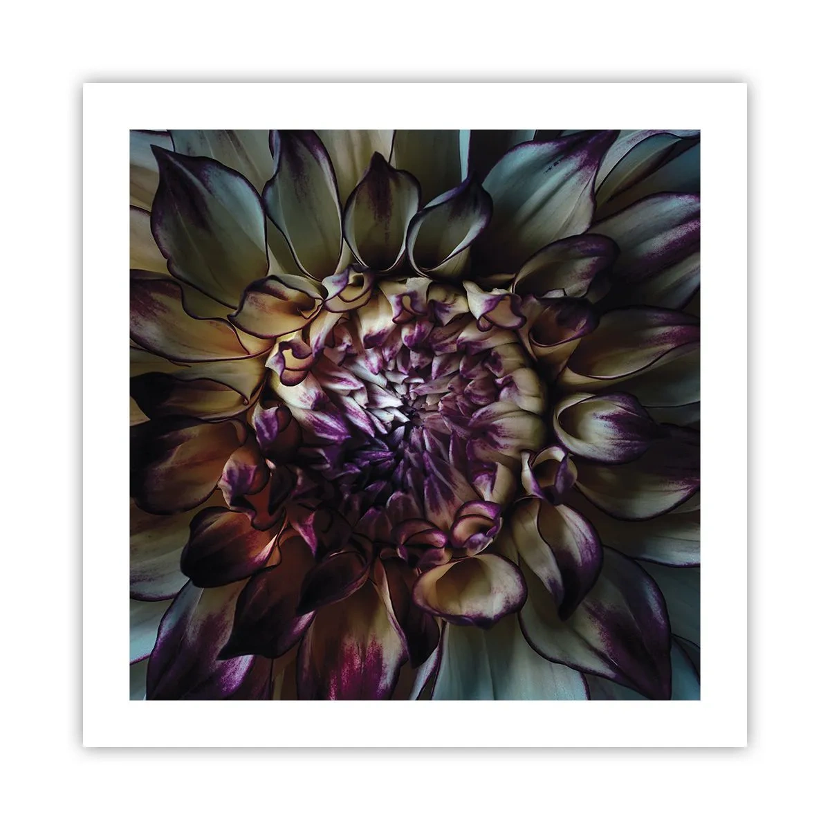 Poster - De hoogtijdagen van de jeugd - 50x50 cm