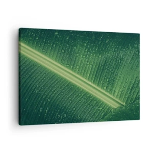 Schilderen op canvas - Een groen blad met waterdruppels op het oppervlak - 70x50cm - De structuur van groen - Moderne wanddecoratie voor woonkamer en slaapkamer ARTTOR