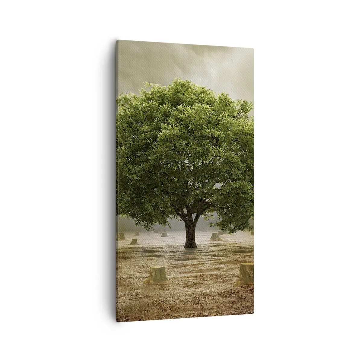 Schilderen op canvas - Alle hoop - 55x100 cm