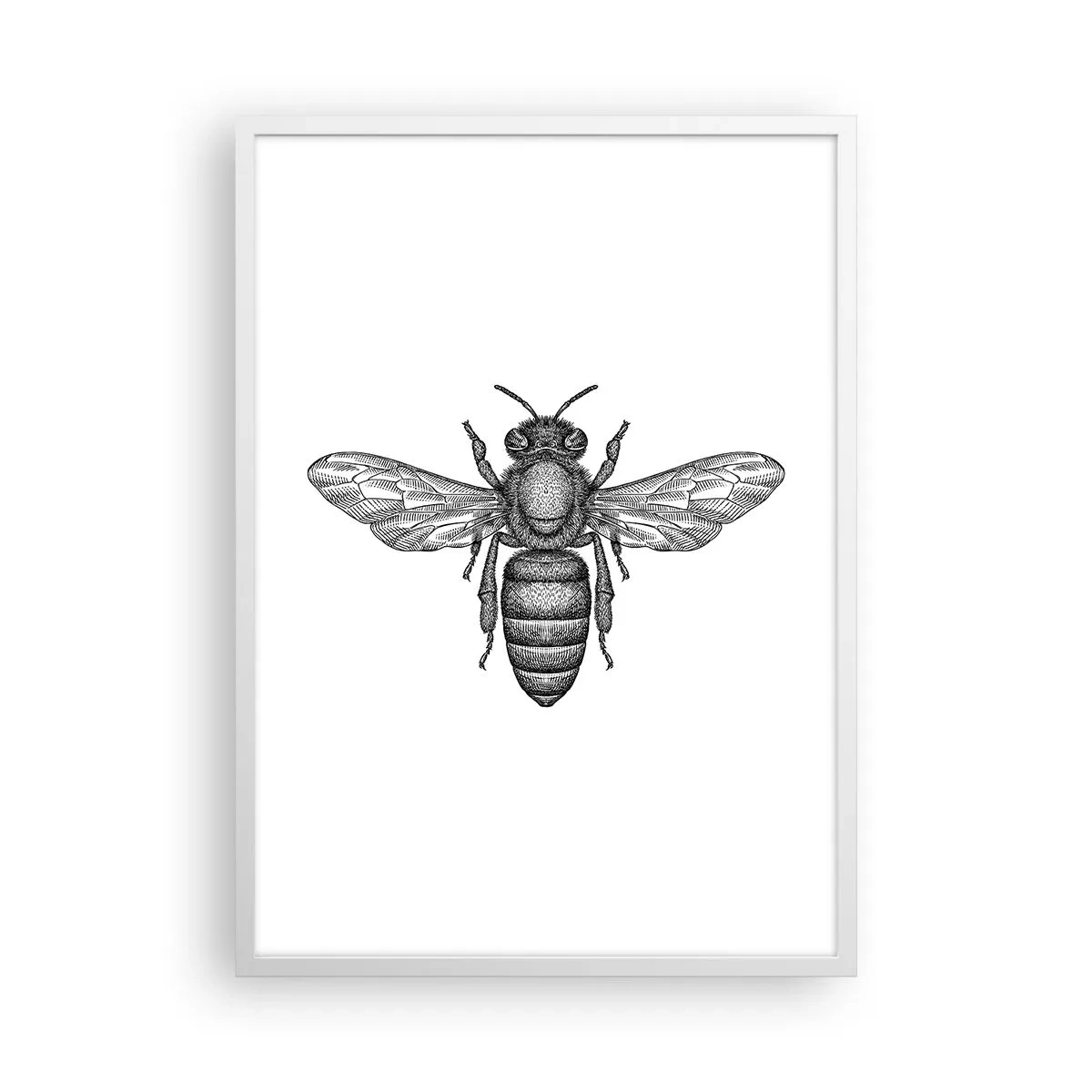 Poster in een witte lijst - Insectenportret - 50x70 cm