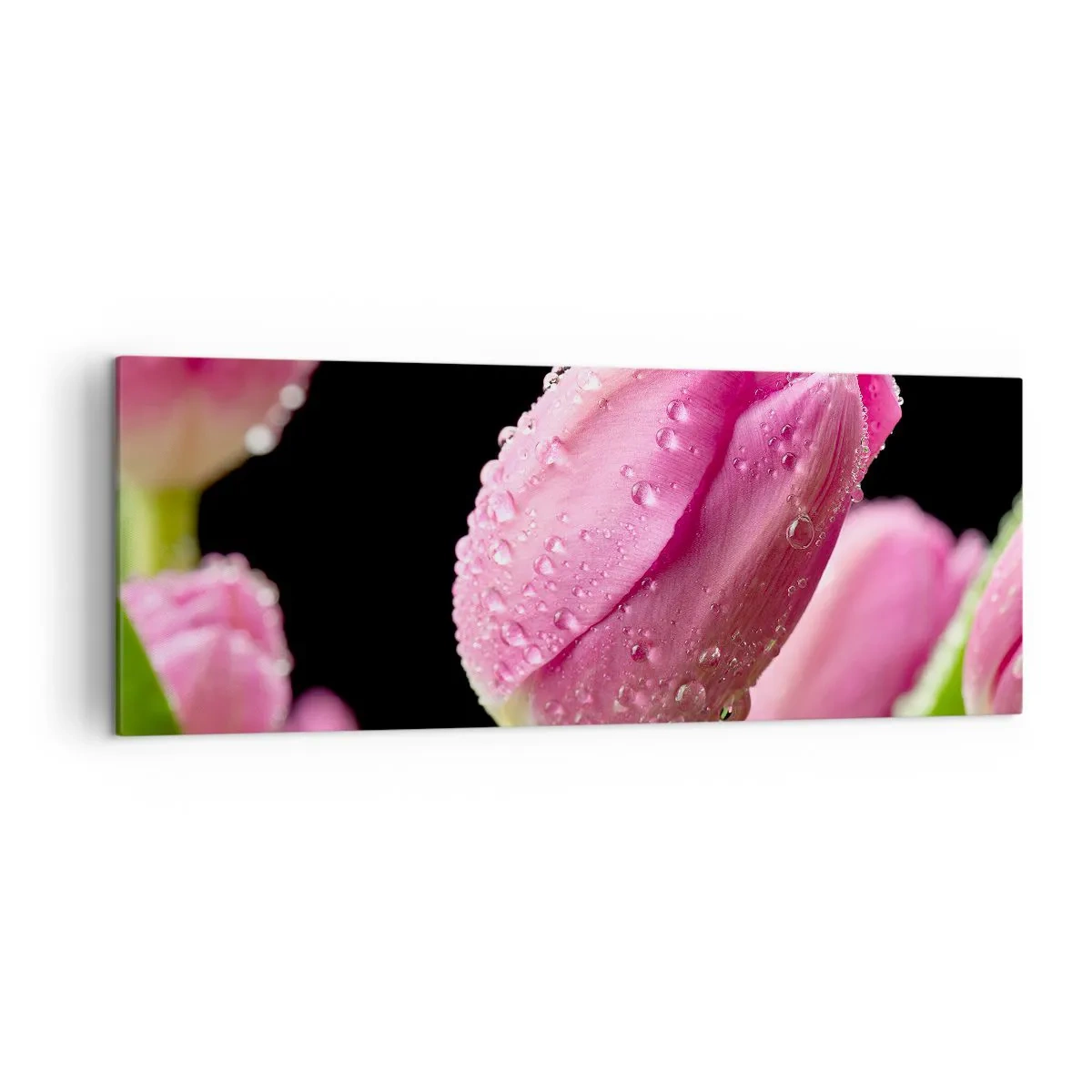 Schilderen op canvas - Lila droom in dauw - 140x50 cm