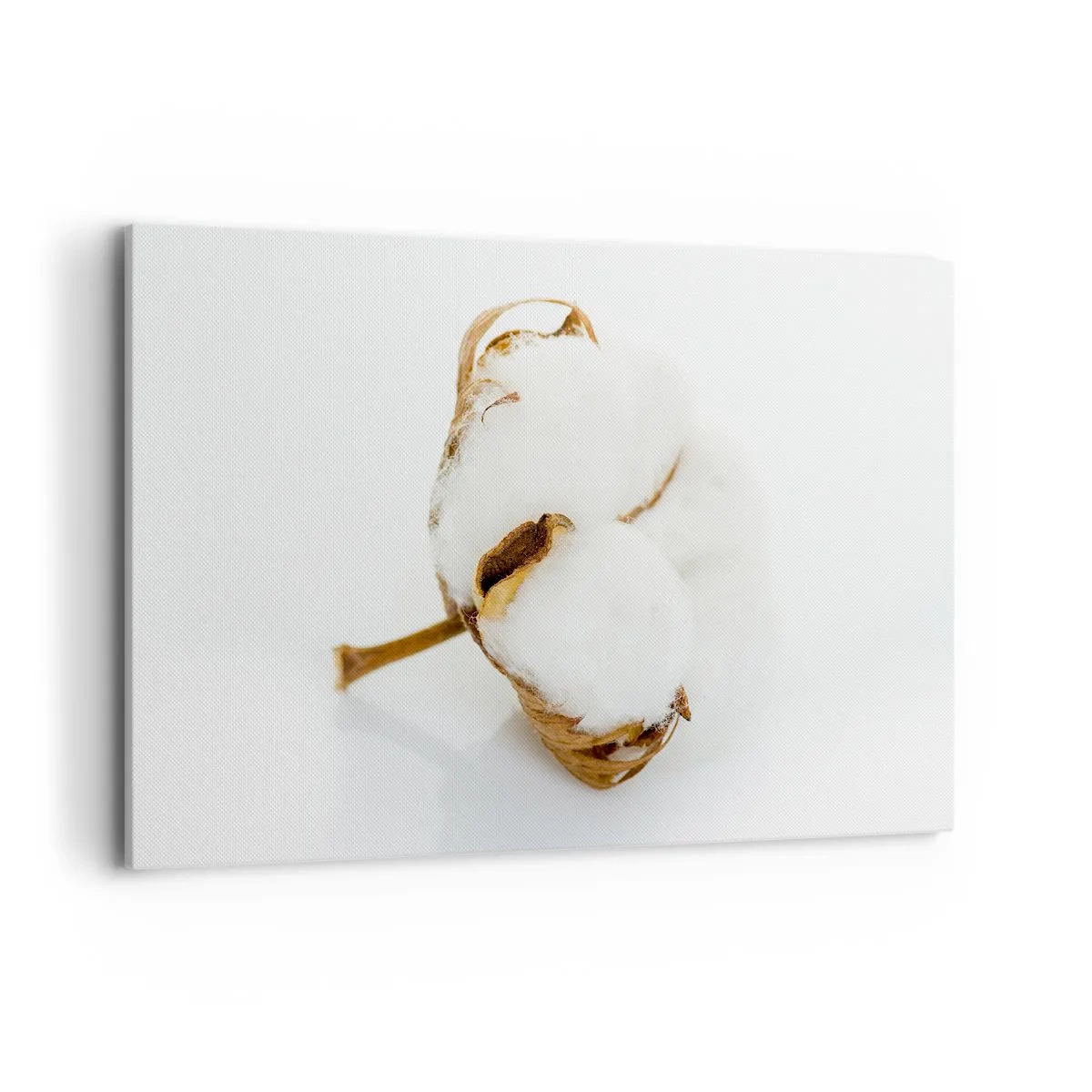 Schilderen op canvas - Zacht van aard - 120x80 cm