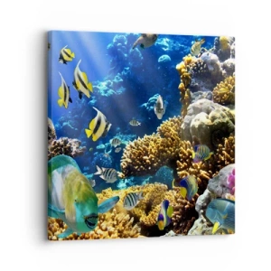 Schilderen op canvas - Veel verkeer op de vakantieroute - 30x30 cm