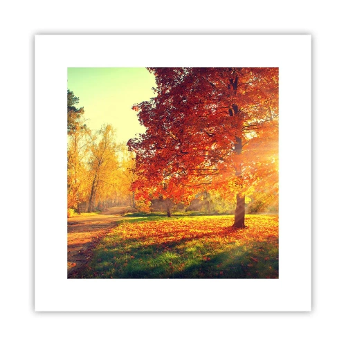 Poster - Rood is mooi - 30x30 cm