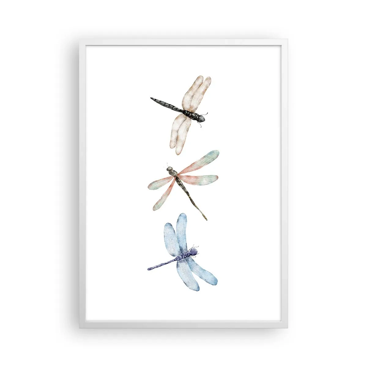 Poster in een witte lijst - Gewichtloze libellen - 50x70 cm