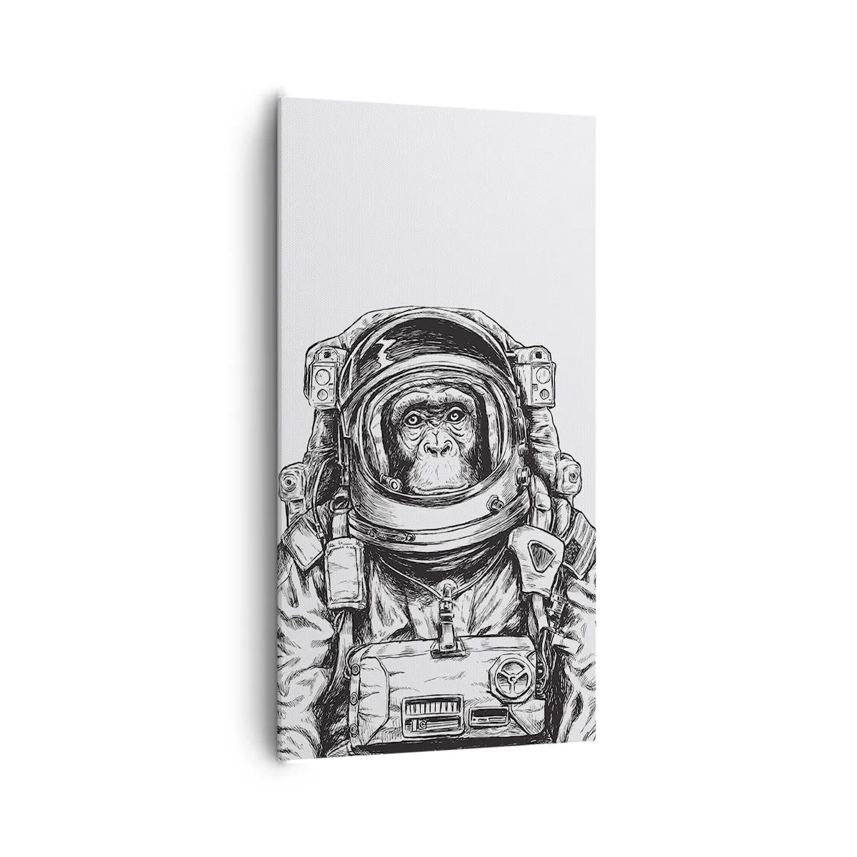 Schilderen op canvas - Alternatieve evolutie - 65x120 cm