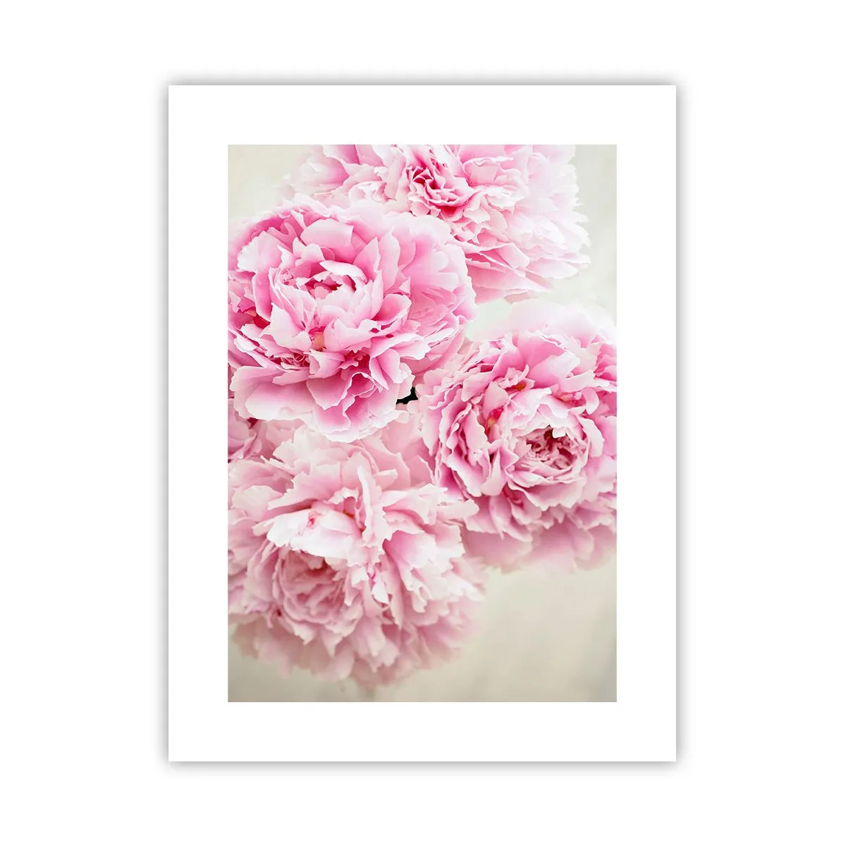 Poster - In roze glamour - 30x40 cm