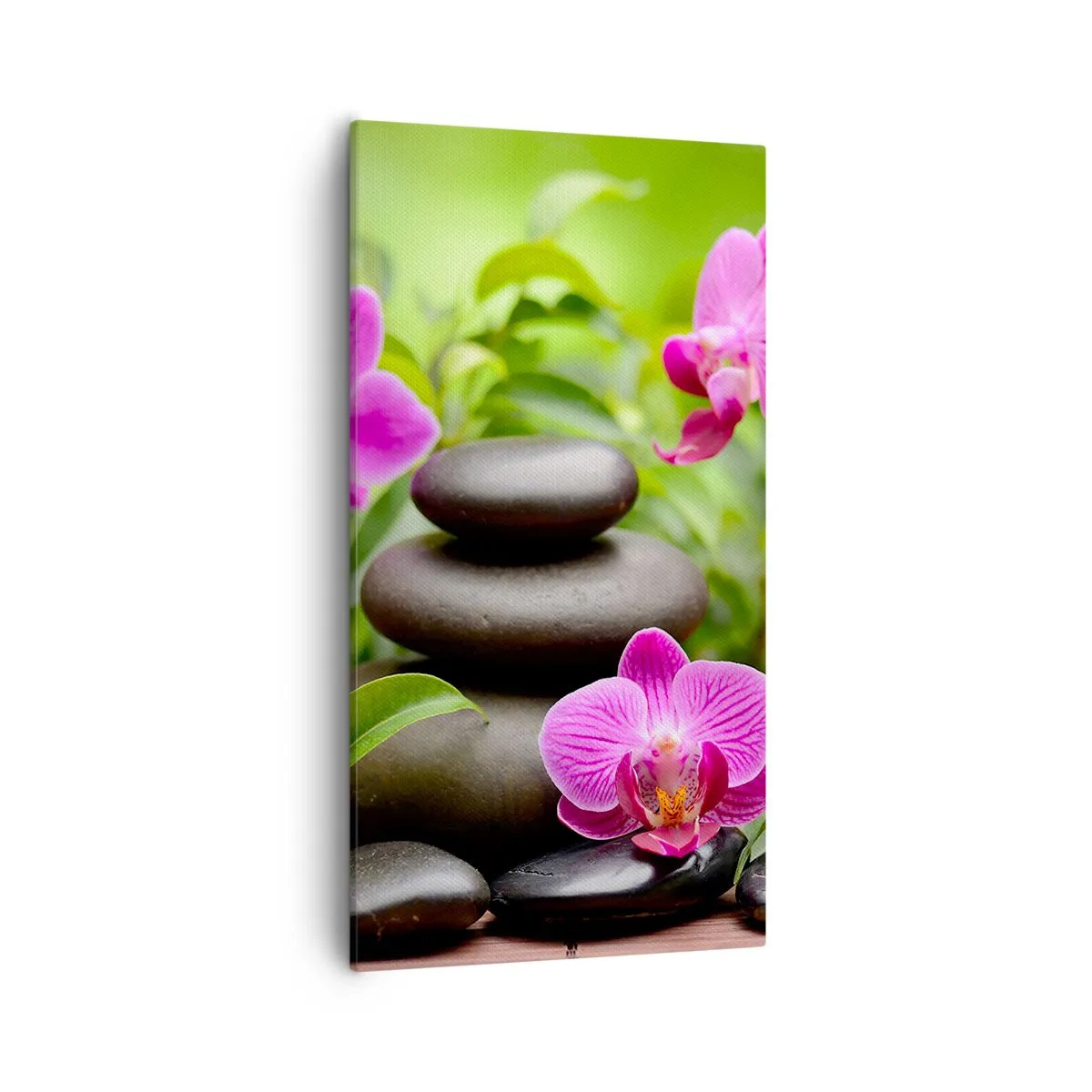 Schilderen op canvas - De piramide van vrede - 55x100 cm