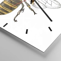 Dash schild
