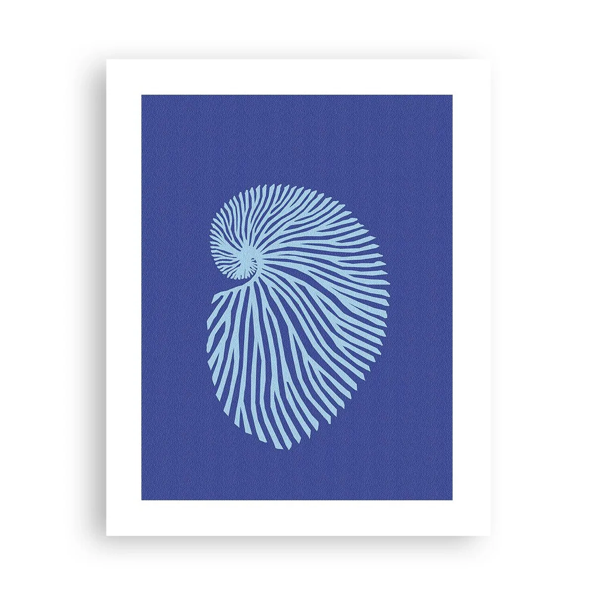 Poster - De geboorte van de schelp - 40x50 cm