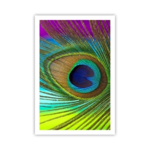 Poster - Oog in oog - 61x91 cm