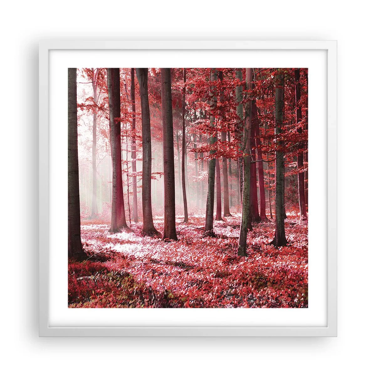 Poster in een witte lijst - Rood is net zo mooi - 50x50 cm