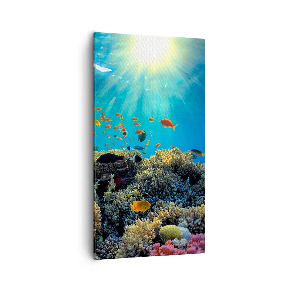 Schilderen op canvas - Onderwater schatten - 55x100 cm