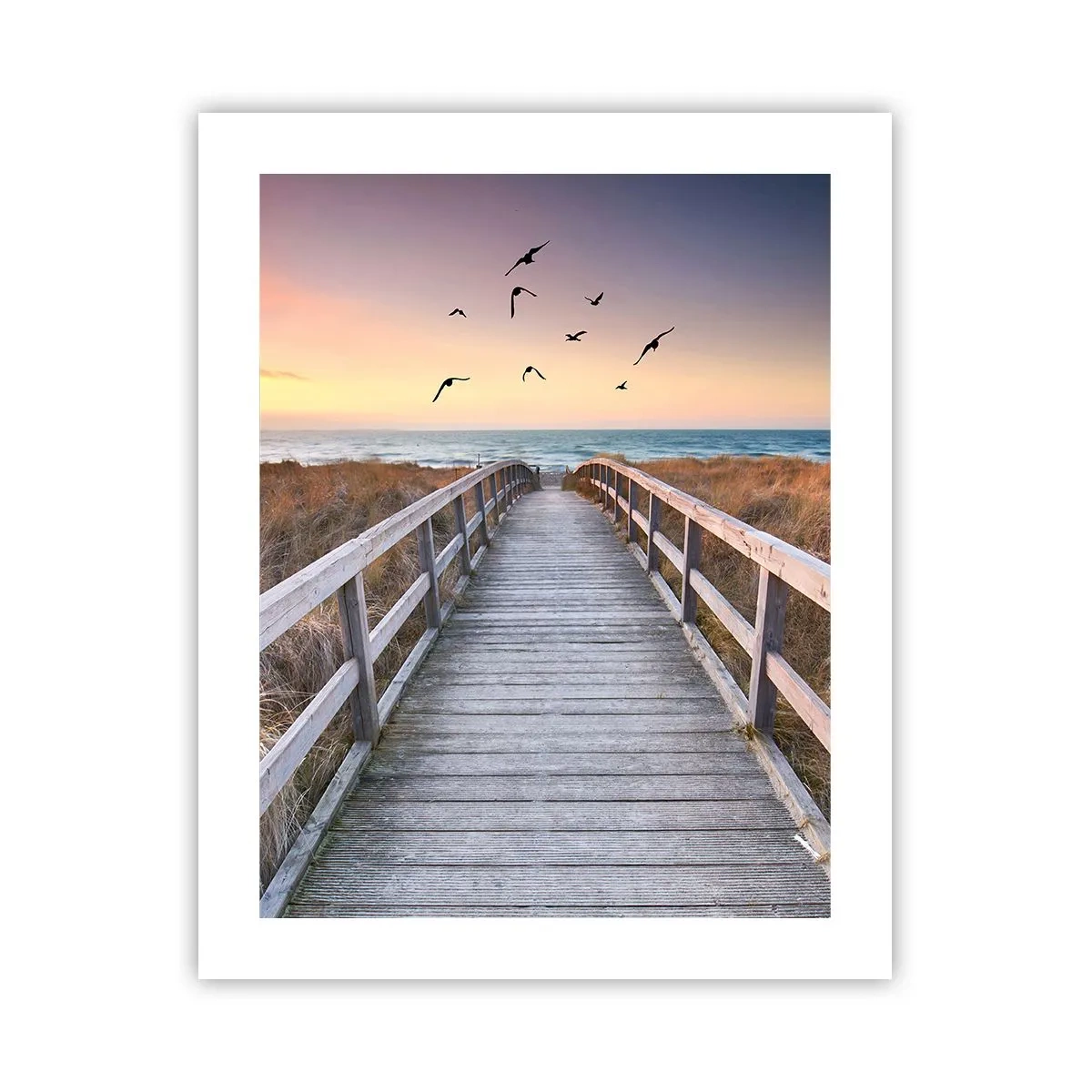 Poster - De ruimte voor opvliegen - 40x50 cm