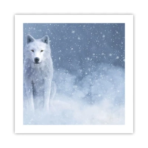 Poster - In winterse sferen - 50x50 cm