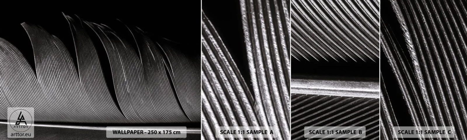 Fotobehang Staaltje Standard Eco - Een veer - prachtig ontwerp - Pen, Minimalisme, Lichtheid - 100x30 cm