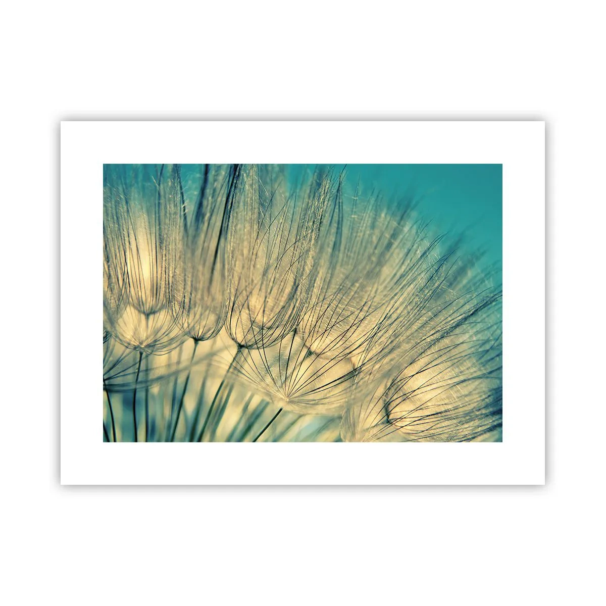 Poster - In afwachting van de wind - 40x30 cm