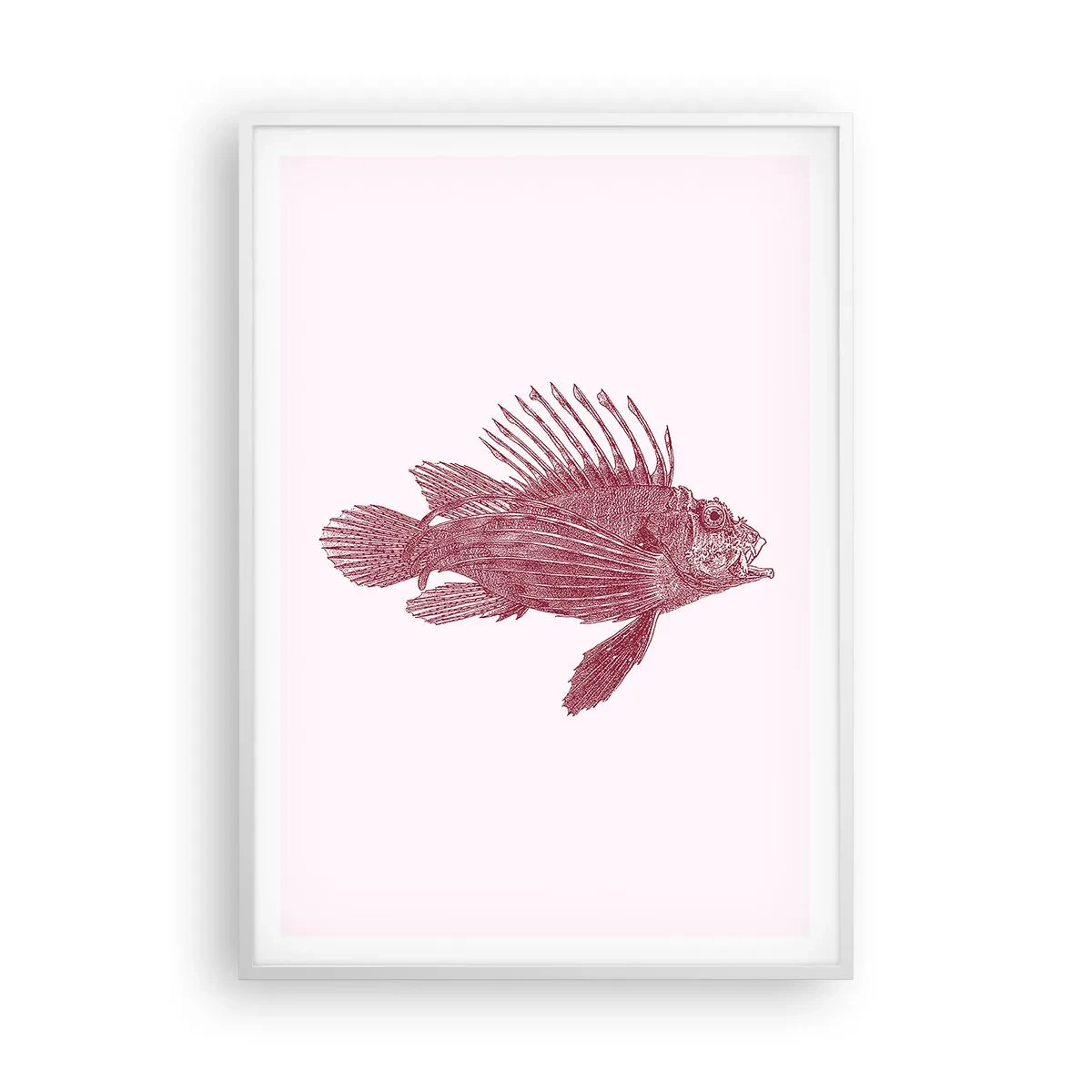 Poster in een witte lijst - Inwoner van exotische wateren - 70x100 cm