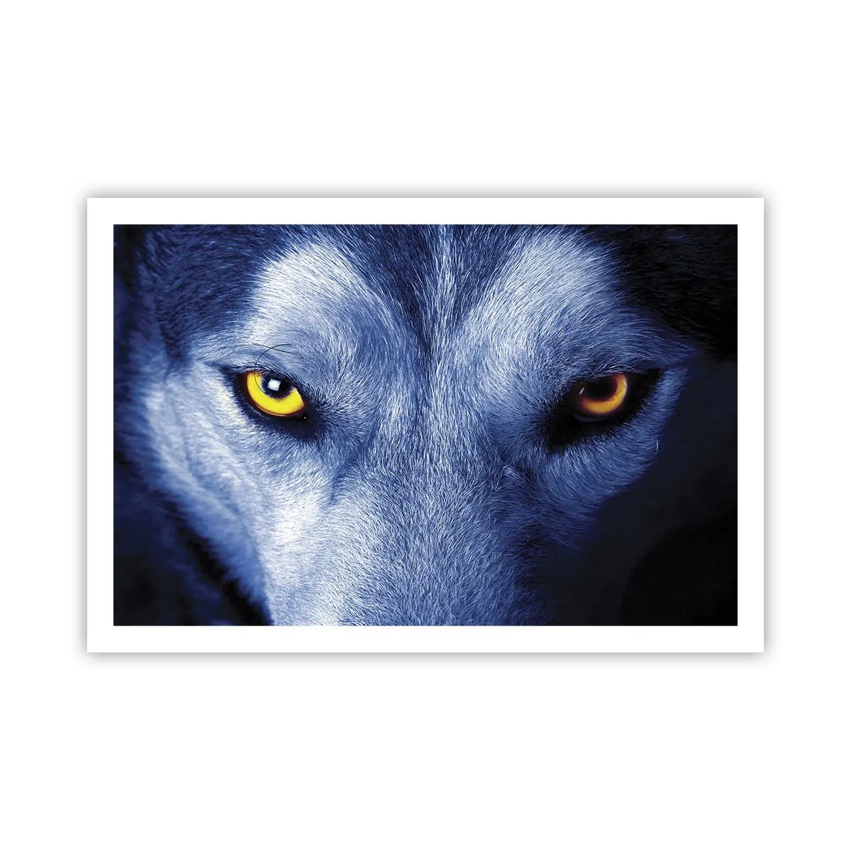 Poster - Betoverende look - 91x61 cm